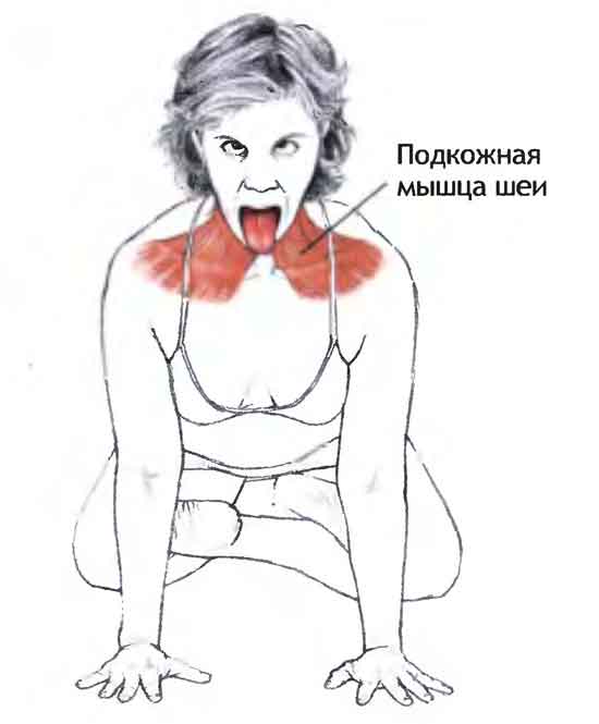 Поза льва в йоге для лечения горла: как правильно делать, польза и вред упражнения